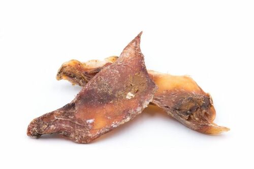 Kalbsschlesinger Schulterknorpel