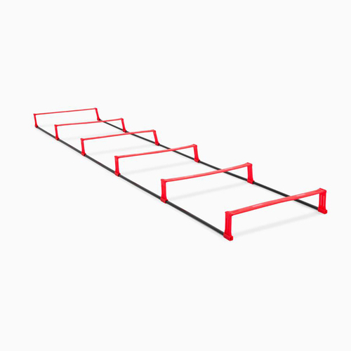 Hockeyshot Boost Ladder