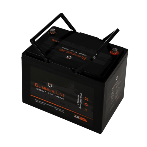 LiFePO4 Akku 12V 6Ah in flacher Ausführung mit BMS (Batterie Management  System)