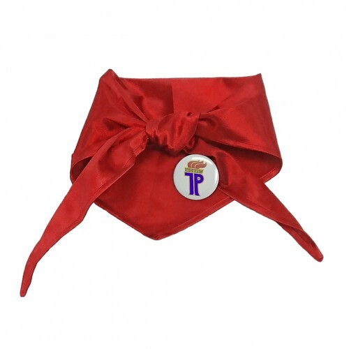 Halstuch Th�lmann Pionier rot inkl. Anstecker
