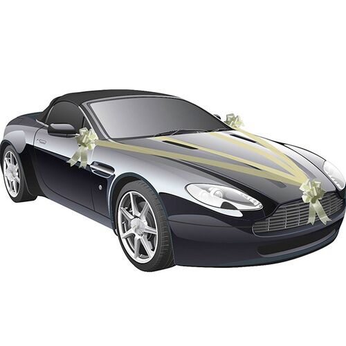 Hochzeits-Auto Girlande 8 cm x 20 m Autoschleife Autoschmuck Wedding Car Deko