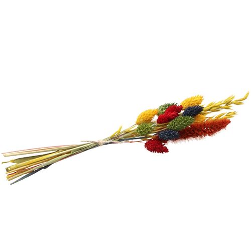 Blumenstrau� getrocknet 28 cm Trockenfloristik Herbst Getreide bunt Deko Basteln