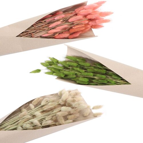 Strau� Lagurus 100g 72 cm Trockenblumen Schilfgras Deko