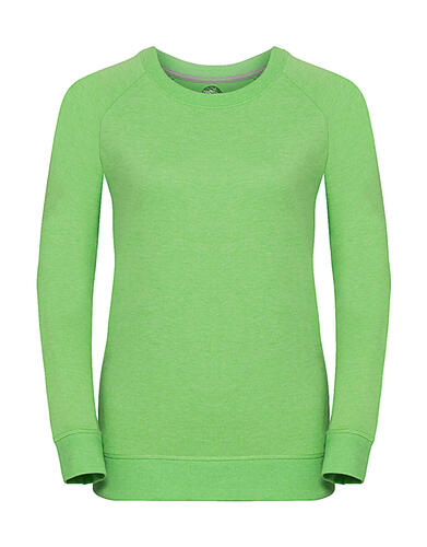 10er Pack Ladies HD Raglan Sweat 