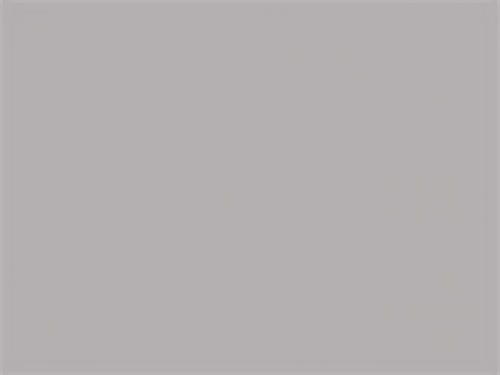 Iconic Premium Zip Neck Sweat 