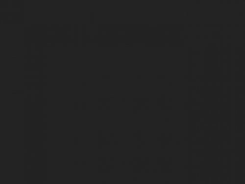 Iconic 250 Hooded Sweat 