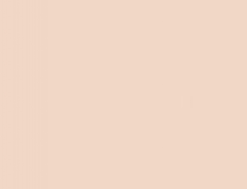 Iconic 250 Hooded Sweat 