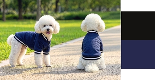 Varsity Jacket