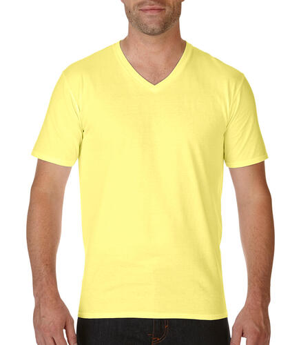 2er Pack Premium Cotton Adult V-Neck T-Shirt 