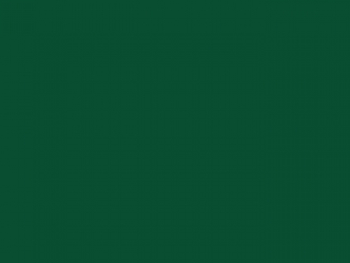 Gildan Herren rundhals Shirt in 55 Farben Ring Spun T-Shirt NEU 