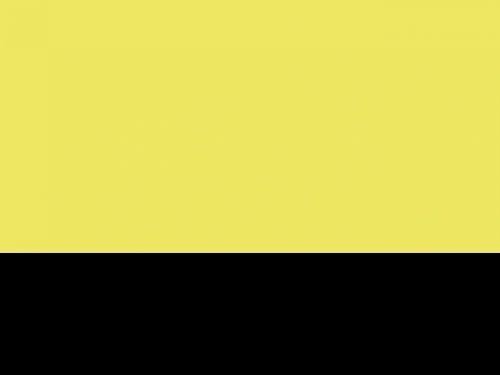 2er Pack Fluo Executive Waistcoat 