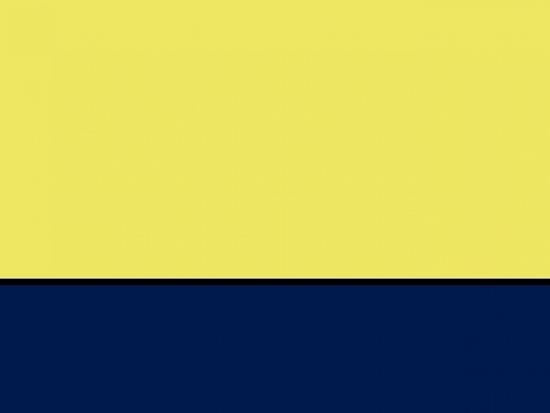 4er Pack Fluo Executive Waistcoat 