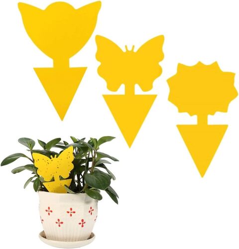 Gelbtafeln Gelbsticker Blautafeln Blausticker Fliegenf�nger Fruchtfliegen Falle