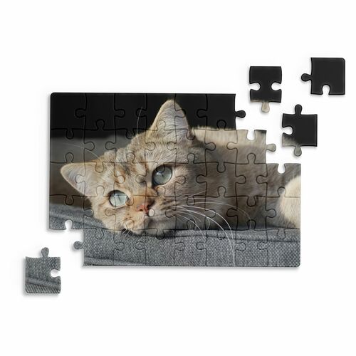 Puzzle mit eigenem Foto Bild gestalten 