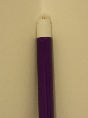 8279 LED R�hre T8 10 Watt violett 900 Lumen 320 Grad 0,60 m 