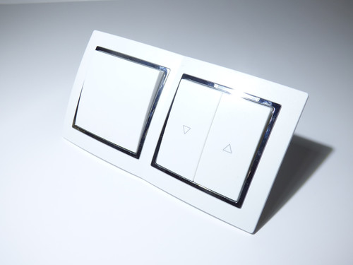 9524 Levina S 2-er 1xTaster 1x Rolladen silberner Rand