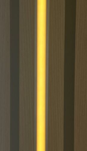 3827 LED RGB Leuchte COB KSS-s 2x 100cm 4Zonen Fernbedienung +Netzteil