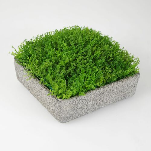 Topfpflanze 20x20cm gr�n Bubikopf im Topf Dekopflanze Kunstblume Kunstpflanze