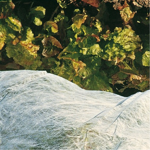 Gartenvlies wei� wasserduchl�ssig Pflanzenschutz Vlies Winterschutz 1,5x5m