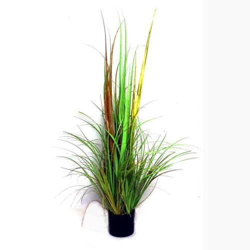Dekogras Ziergras gr�n im Topf 123cm Dekopflanze Wildgras Gr�ser Gras