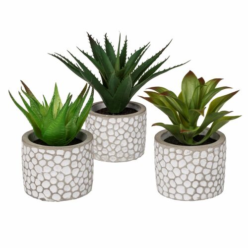 Deko-Sukkulenten im Zementtopf in grau wei� Kunstblume Dekoration Gr�npflanze 