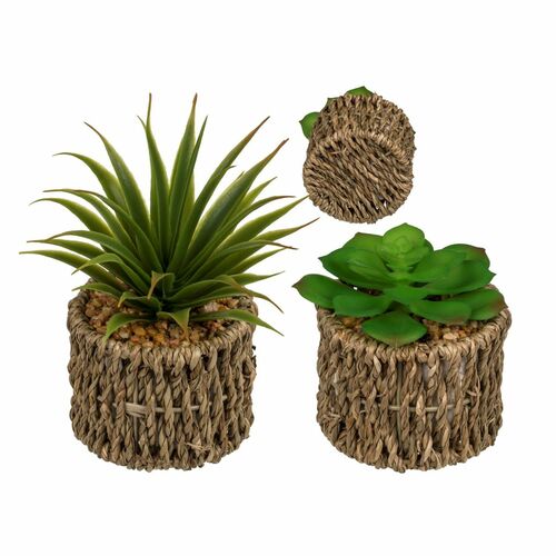 Deko-Sukkulenten im Seegrass-Topf Naturfarben Kunstblume Dekoration Gr�npflanze 