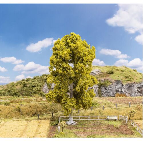 Faller H0 181571 Premium Baum Birke ca. 18cm 1:87