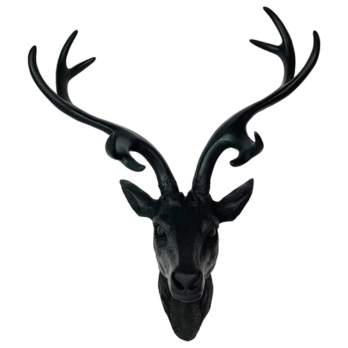 Hirschgeweih Hirschkopf Geweih 10-Ender verschieden Farben und Gr��en