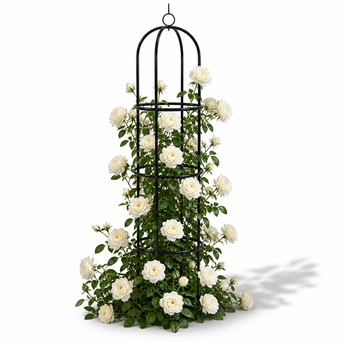 Pflanzenst�nder Metall Rankhilfe Rankgitter Obelisk Spalier H190cm 