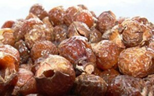 Indische Waschn�sse 1kg