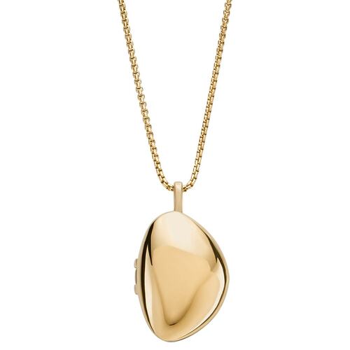 Skagen Damen Kette Halskette Edelstahl Kariana Gold Medaillon SKJ1752710