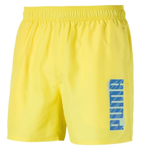 PUMA Shorts kurze Hose f�r Herren mit Netz Innenfutter und Taschen 