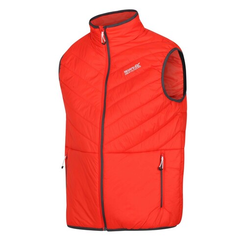 Regatta Steppweste f�r Herren Freezeway III