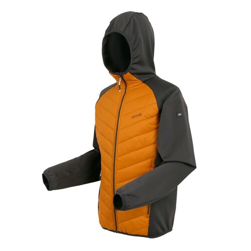 Regatta Andreson VIII Hybrid Softshelljacke Herren