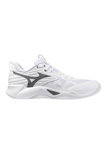 Mizuno Unisex Wave Momentum Pro Volleyballschuhe V1GA254083 White/metallic Gray