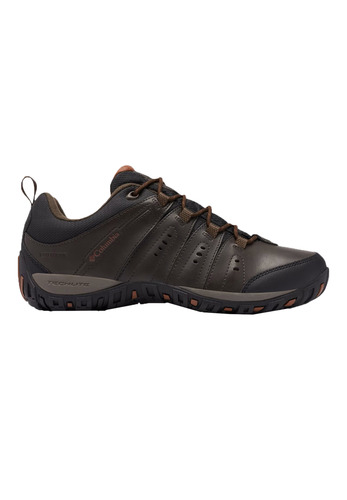 Columbia Herren Woodburn II Waterproof Graphite Cordovan/Cinnamon