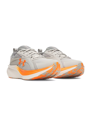 Under Armour Herren Charged Assert 11 Laufschuhe 6006723 069 Grau