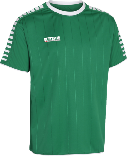 Derbystar Hyper Trikot - gr�n/weiss
