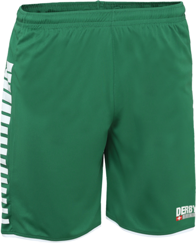 Derbystar Hyper Hose - gr�n/weiss