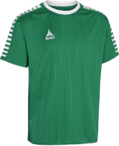 Select Argentina Trikot - gr�n/wei�