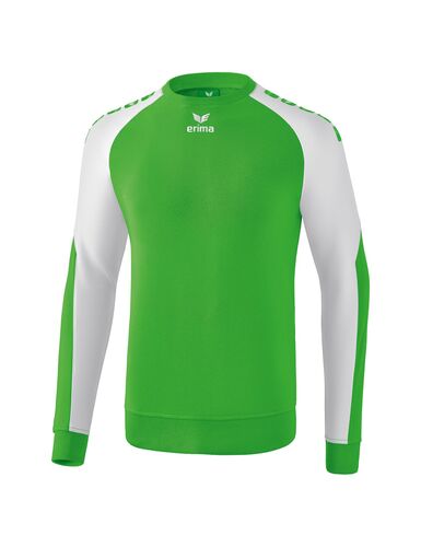 Erima Essential 5-C Training Sweat - green/white