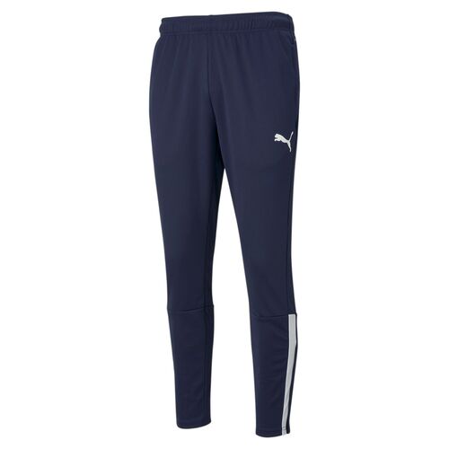 Puma teamLIGA Training Pants - blau