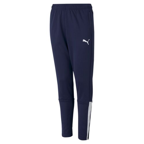 Puma teamLIGA Training Pants Jr - blau