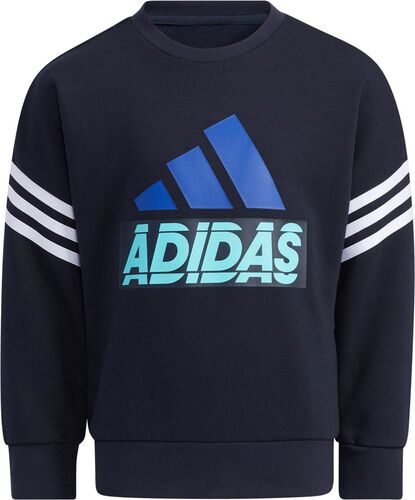 adidas Kinder Graphic Sweatshirt
