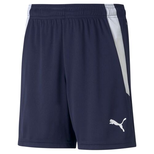 Puma teamLIGA Shorts Jr - blau