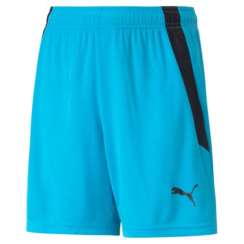 Puma teamLIGA Shorts Jr - blau