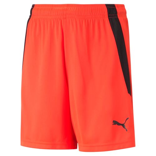 Puma teamLIGA Shorts Jr - rot