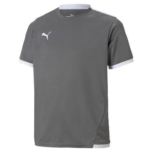 Puma teamLIGA Jersey Jr - grau