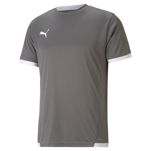 Puma teamLIGA Jersey - grau