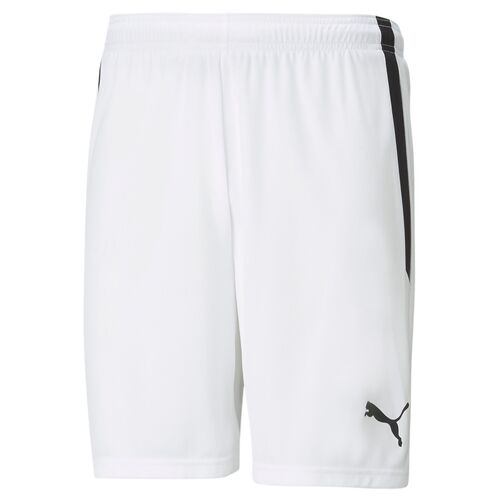 Puma teamLIGA Shorts - weiss